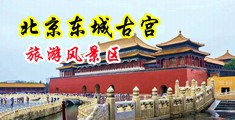 男生用鸡巴捅女,网站中国北京-东城古宫旅游风景区